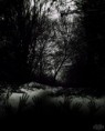/album/fotografie/mysterious-place-jpg/